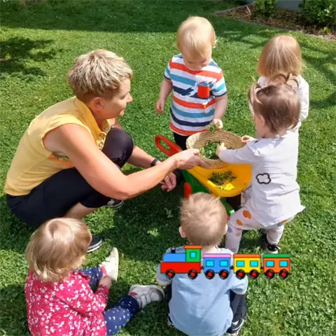 Instagram - Den Garten entdecken