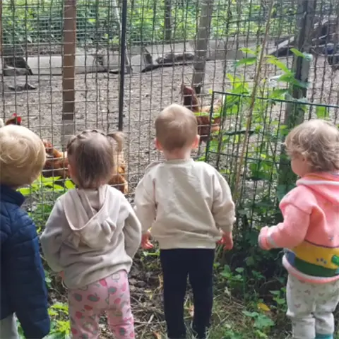 Instagram - Hühner im Käfig