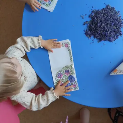 Instagram - Lavendel